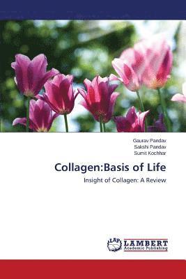 bokomslag Collagen