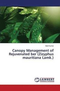bokomslag Canopy Management of Rejuvenated ber (Zizyphus mauritiana Lamk.)