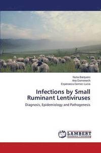 bokomslag Infections by Small Ruminant Lentiviruses
