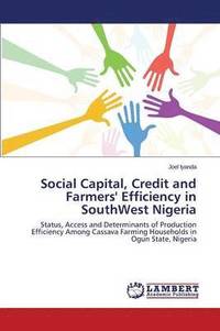 bokomslag Social Capital, Credit and Farmers' Efficiency in SouthWest Nigeria