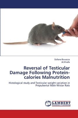 bokomslag Reversal of Testicular Damage Following Protein-calories Malnutrition