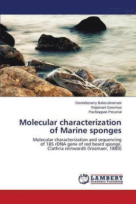 Molecular characterization of Marine sponges 1