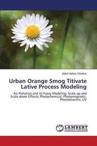 bokomslag Urban Orange Smog Titivate Lative Process Modeling