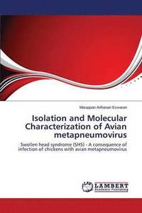 bokomslag Isolation and Molecular Characterization of Avian metapneumovirus