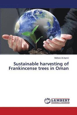 Sustainable harvesting of Frankincense trees in Oman 1