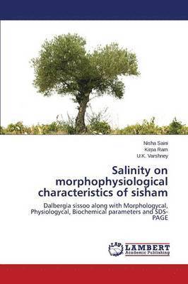 Salinity on morphophysiological characteristics of sisham 1