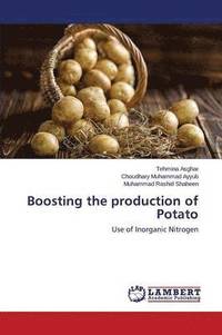 bokomslag Boosting the production of Potato