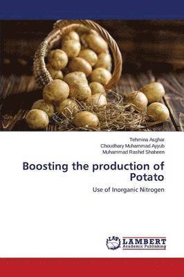 Boosting the production of Potato 1