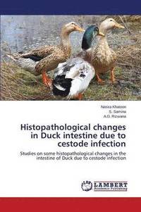 bokomslag Histopathological changes in Duck intestine due to cestode infection