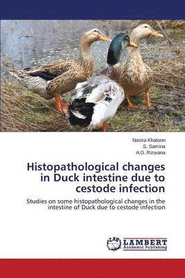 Histopathological changes in Duck intestine due to cestode infection 1