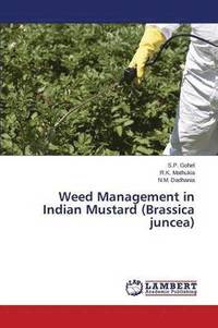 bokomslag Weed Management in Indian Mustard (Brassica juncea)
