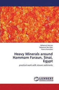 bokomslag Heavy Minerals around Hammam Faraun, Sinai, Egypt