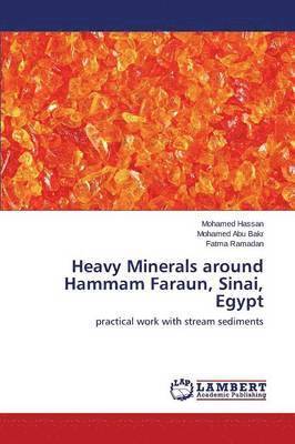 Heavy Minerals around Hammam Faraun, Sinai, Egypt 1