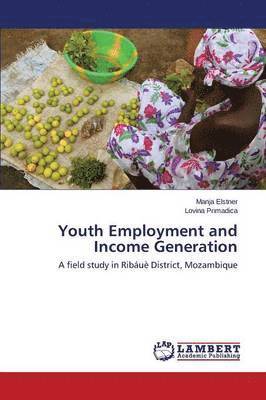 bokomslag Youth Employment and Income Generation