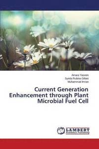 bokomslag Current Generation Enhancement through Plant Microbial Fuel Cell