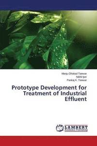 bokomslag Prototype Development for Treatment of Industrial Effluent