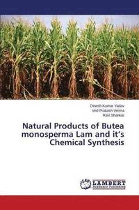 bokomslag Natural Products of Butea monosperma Lam and it's Chemical Synthesis