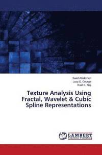 bokomslag Texture Analysis Using Fractal, Wavelet & Cubic Spline Representations