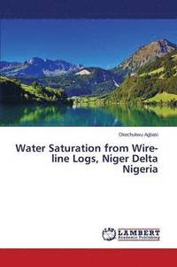 bokomslag Water Saturation from Wire-line Logs, Niger Delta Nigeria