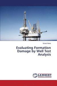 bokomslag Evaluating Formation Damage by Well Test Analysis
