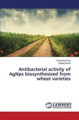 Antibacterial activity of AgNps biosynthesized from wheat varieties 1