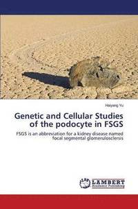 bokomslag Genetic and Cellular Studies of the podocyte in FSGS