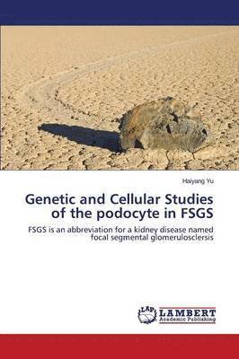 Genetic and Cellular Studies of the podocyte in FSGS 1