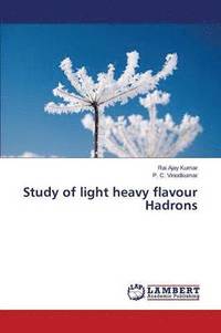 bokomslag Study of light heavy flavour Hadrons