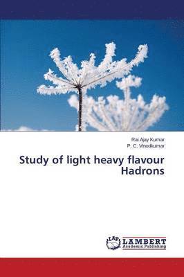 Study of light heavy flavour Hadrons 1