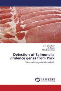 bokomslag Detection of Salmonella virulence genes from Pork