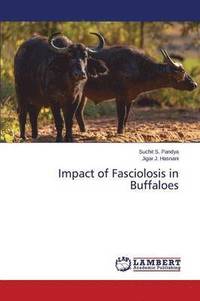 bokomslag Impact of Fasciolosis in Buffaloes