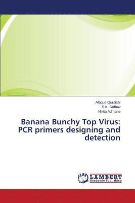 Banana Bunchy Top Virus 1