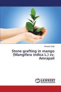 bokomslag Stone grafting in mango (Mangifera indica L.) cv. Amrapali