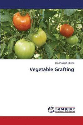 bokomslag Vegetable Grafting