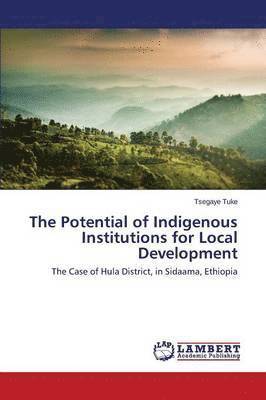 bokomslag The Potential of Indigenous Institutions for Local Development