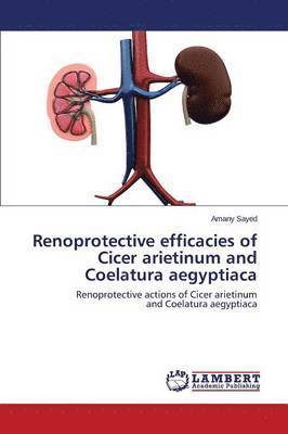 Renoprotective efficacies of Cicer arietinum and Coelatura aegyptiaca 1