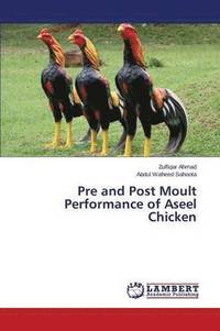 bokomslag Pre and Post Moult Performance of Aseel Chicken