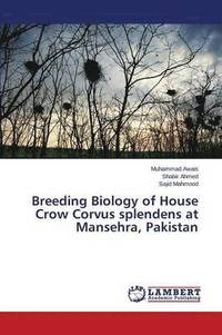 bokomslag Breeding Biology of House Crow Corvus splendens at Mansehra, Pakistan