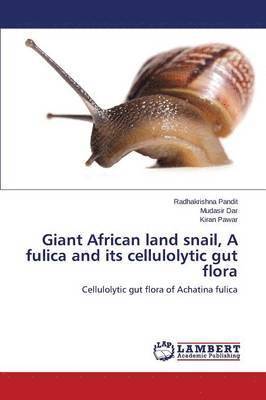 Giant African land snail, A fulica and its cellulolytic gut flora 1