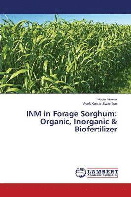 INM in Forage Sorghum 1