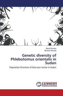 Genetic diversity of Phlebotomus orientalis in Sudan 1
