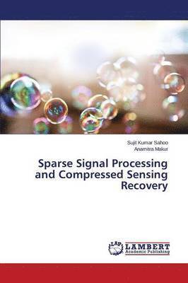 bokomslag Sparse Signal Processing and Compressed Sensing Recovery