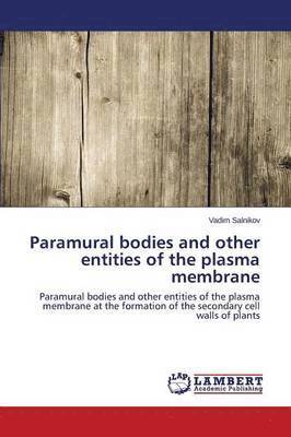 Paramural bodies and other entities of the plasma membrane 1