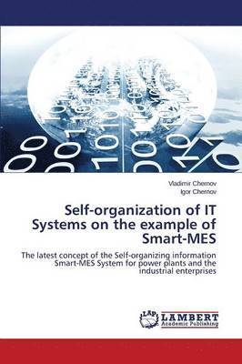 Self-organization of IT Systems on the example of Smart-MES 1