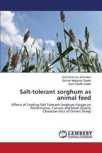 bokomslag Salt-tolerant sorghum as animal feed