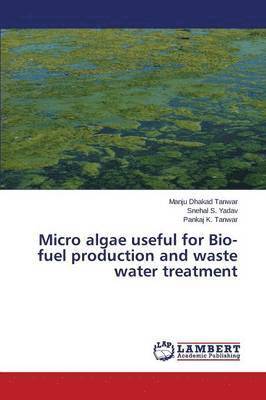 bokomslag Micro algae useful for Bio-fuel production and waste water treatment