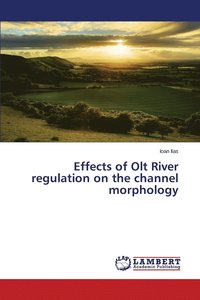 bokomslag Effects of Olt River regulation on the channel morphology