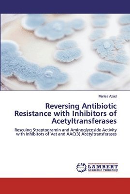 Reversing Antibiotic Resistance with Inhibitors of Acetyltransferases 1