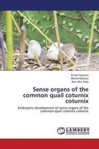 bokomslag Sense organs of the common quail coturnix coturnix