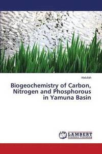 bokomslag Biogeochemistry of Carbon, Nitrogen and Phosphorous in Yamuna Basin